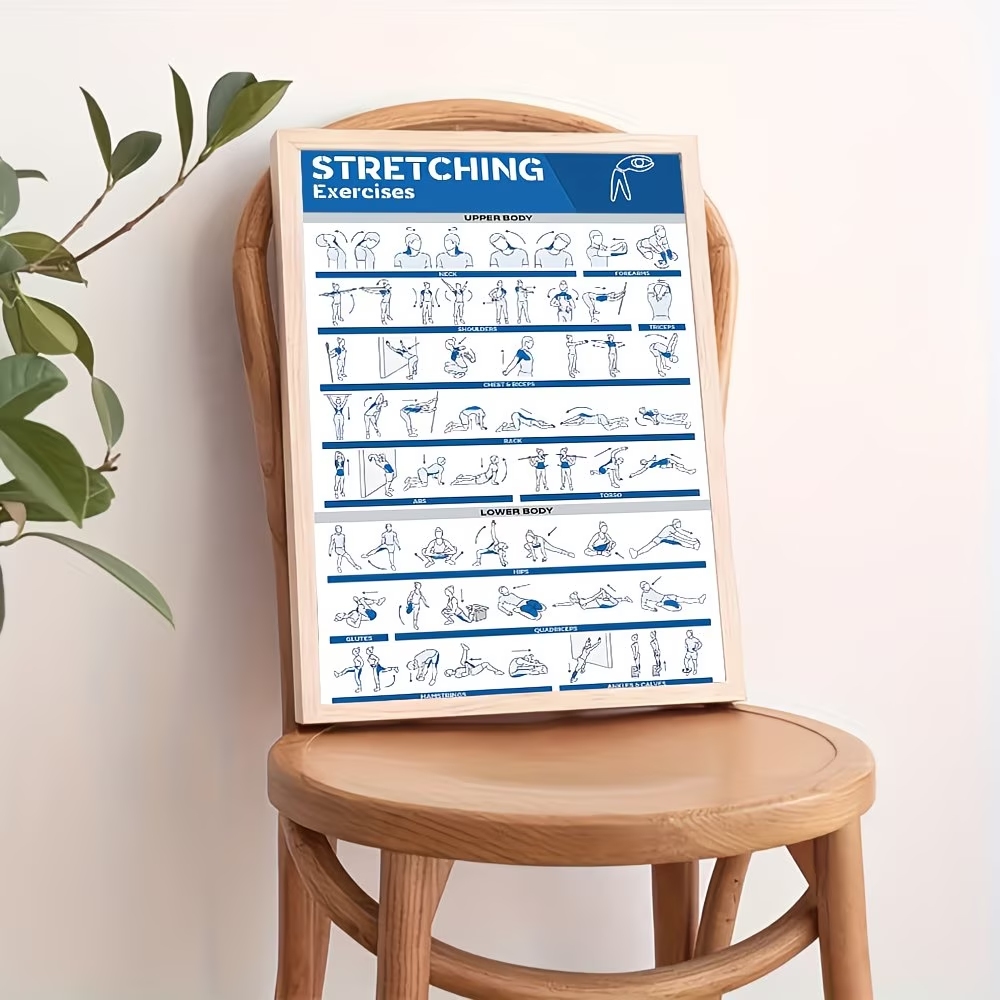 モダンなラベル付き全身ストレッチ体図 ジム用ウォールアートプ - Label Maker のレビューと価格